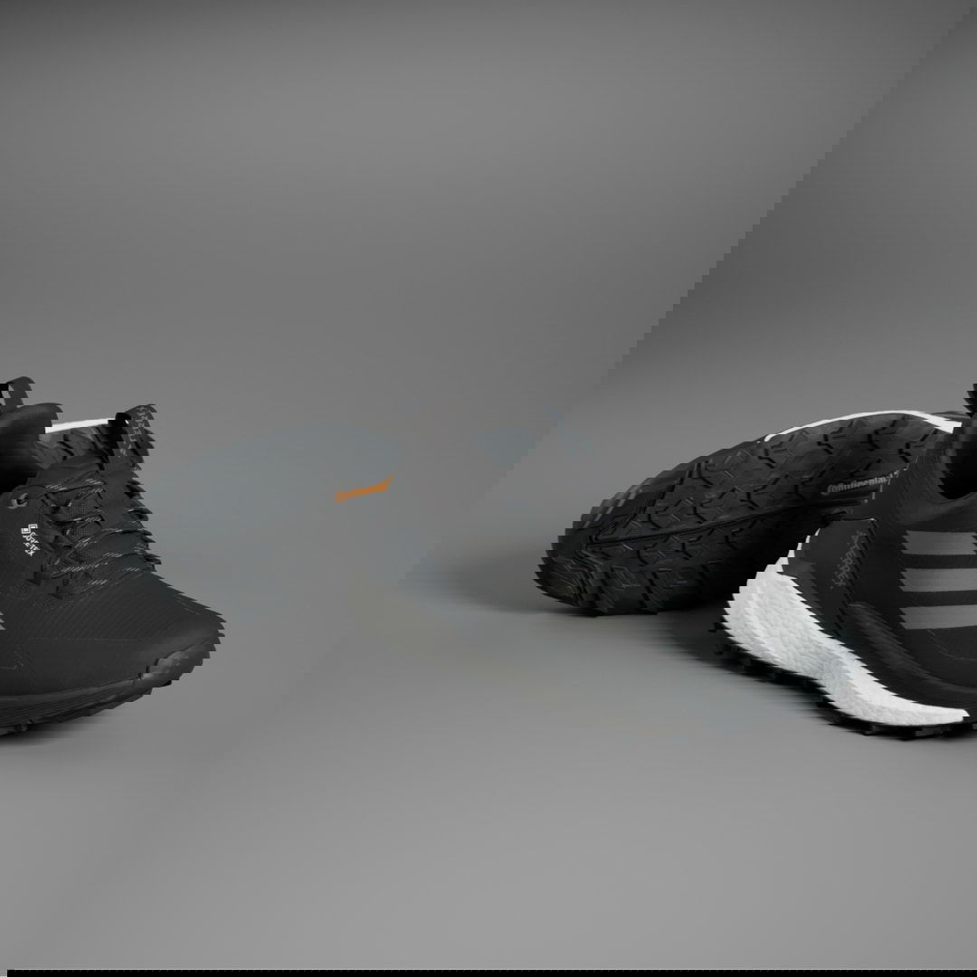 Tenisice i cipele adidas Performance Terrex Free Hiker 2.0 Low GORE-TEX Hiking Crna | IG3201, 1