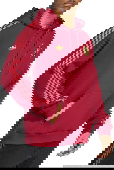 Dukserice adidas Originals adidas Originals DFB Hoodie Tamnocrvena | jj2738, 3