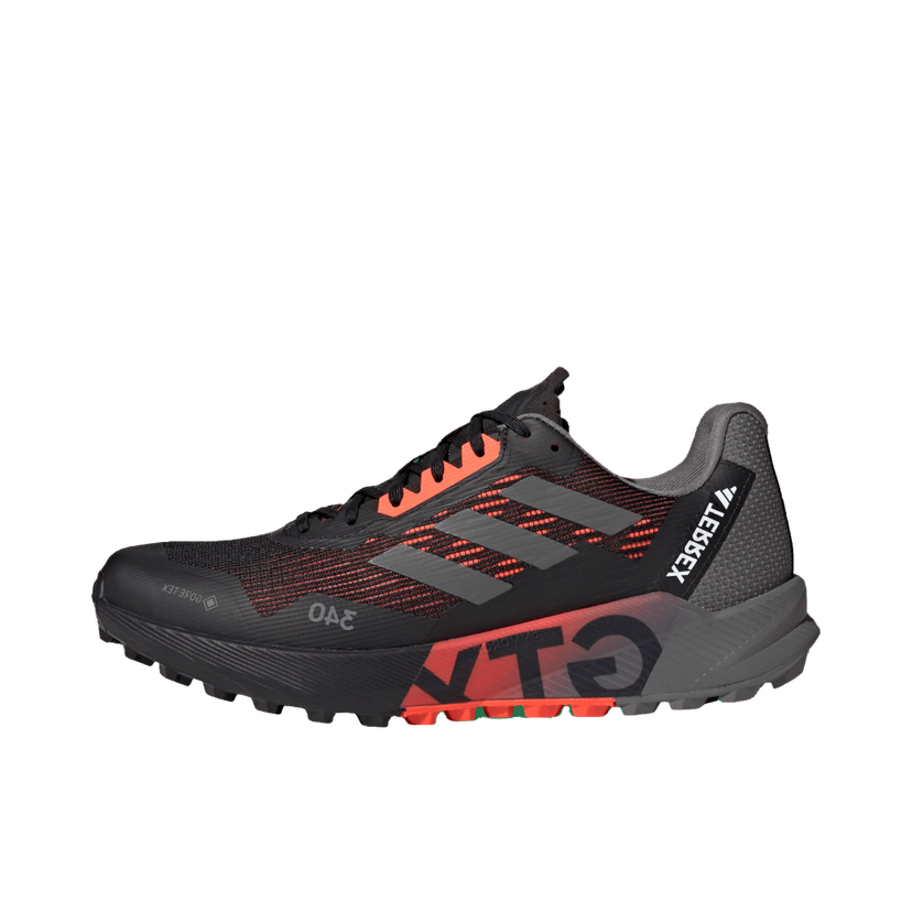 Outdoor adidas Performance TERREX AGRAVIC FLOW 2 GTX Crna | hr1109