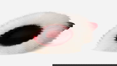 Tenisice i cipele UGG Ambush Fur Heel Boots Bijela | 1176810-WHRD, 5