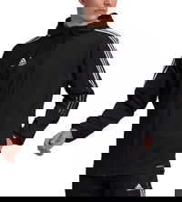 Sportswear Windbreaker Jacket