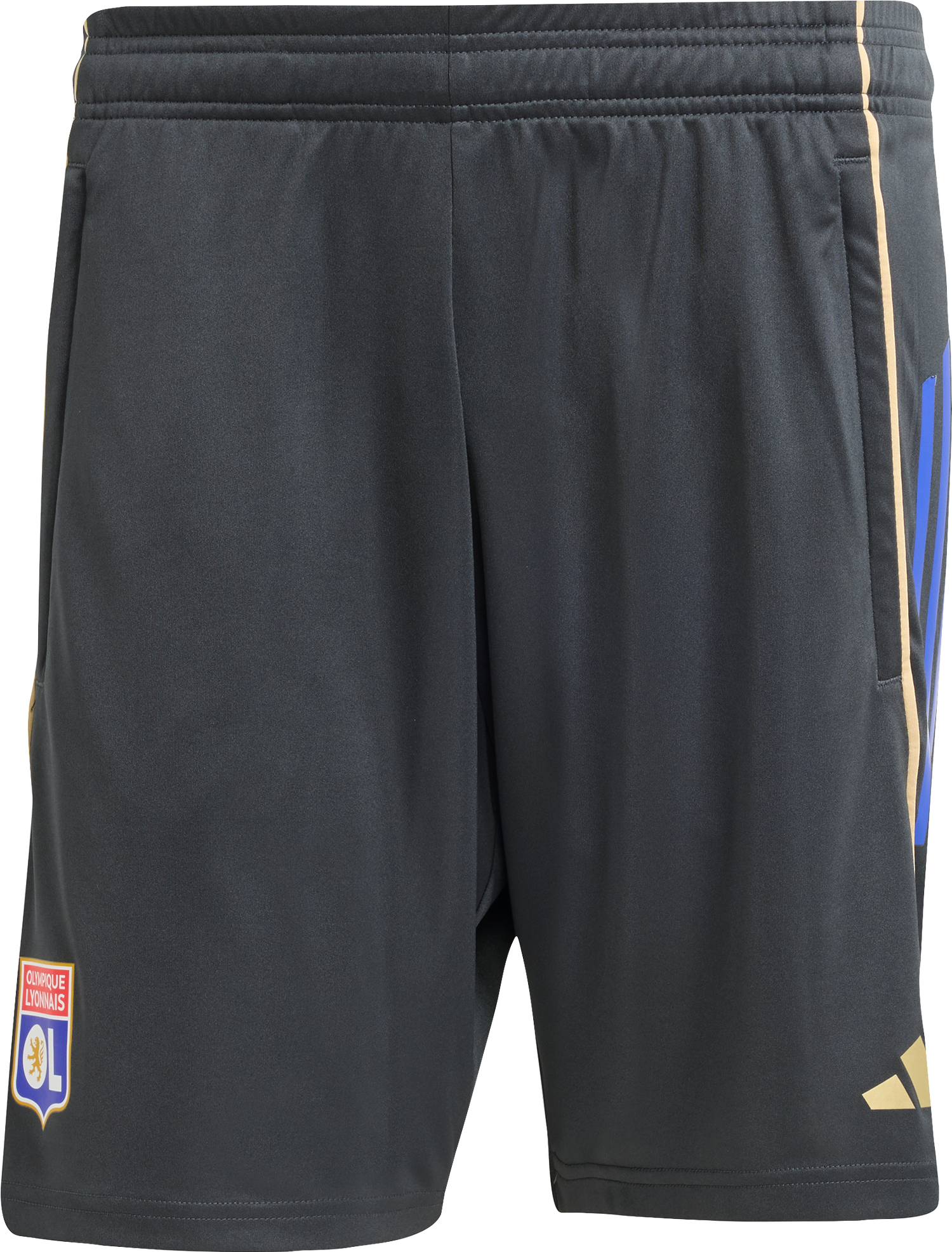 Kratke hlače adidas Originals Olympique Lyonnais Training Shorts 2025/26 Siva | jl9410, 0