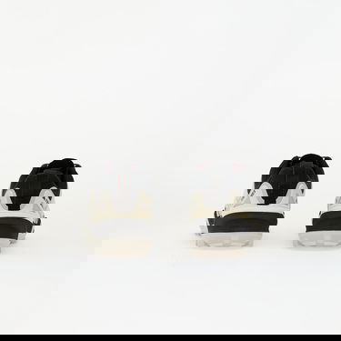 Tenisice i cipele adidas Performance Terrex Skychaser GORE-TEX Hiking Shoes Bež | IH2802, 4