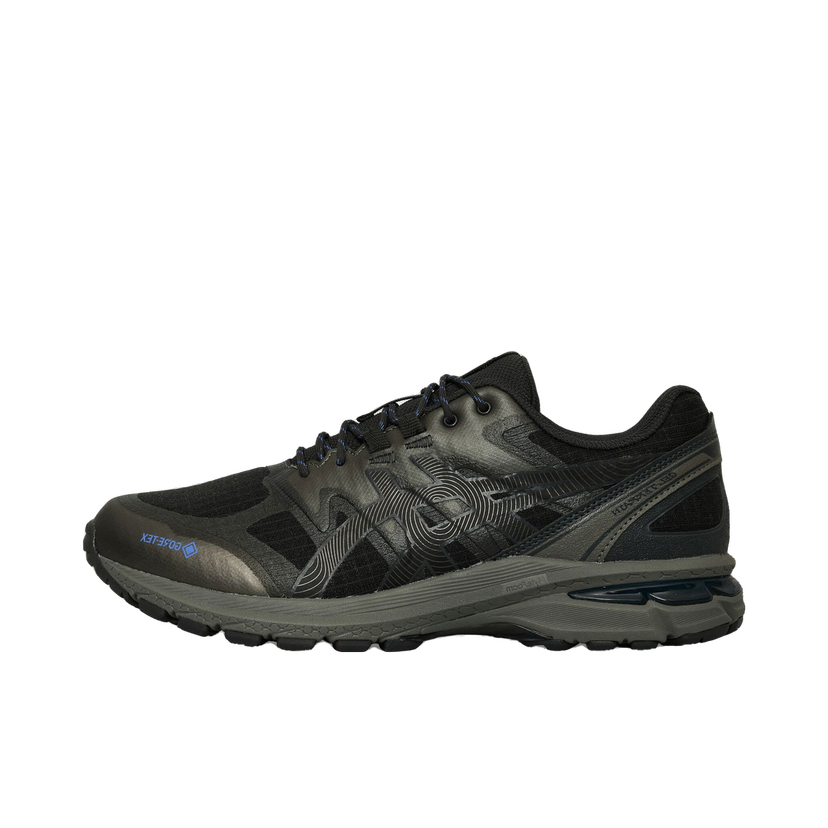 Tenisice i cipele Asics GEL-Terrain GTX Crna | 1203A457-020