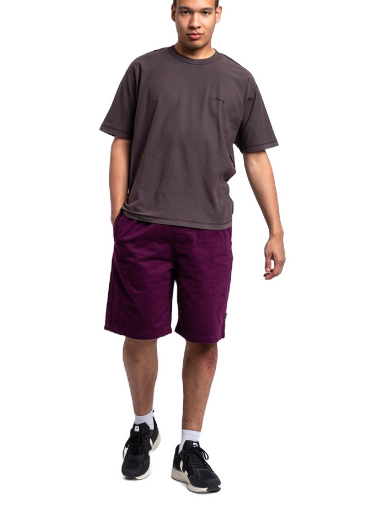 Kratke hlače Stüssy Brushed Beach Short Ljubičasta | 112282