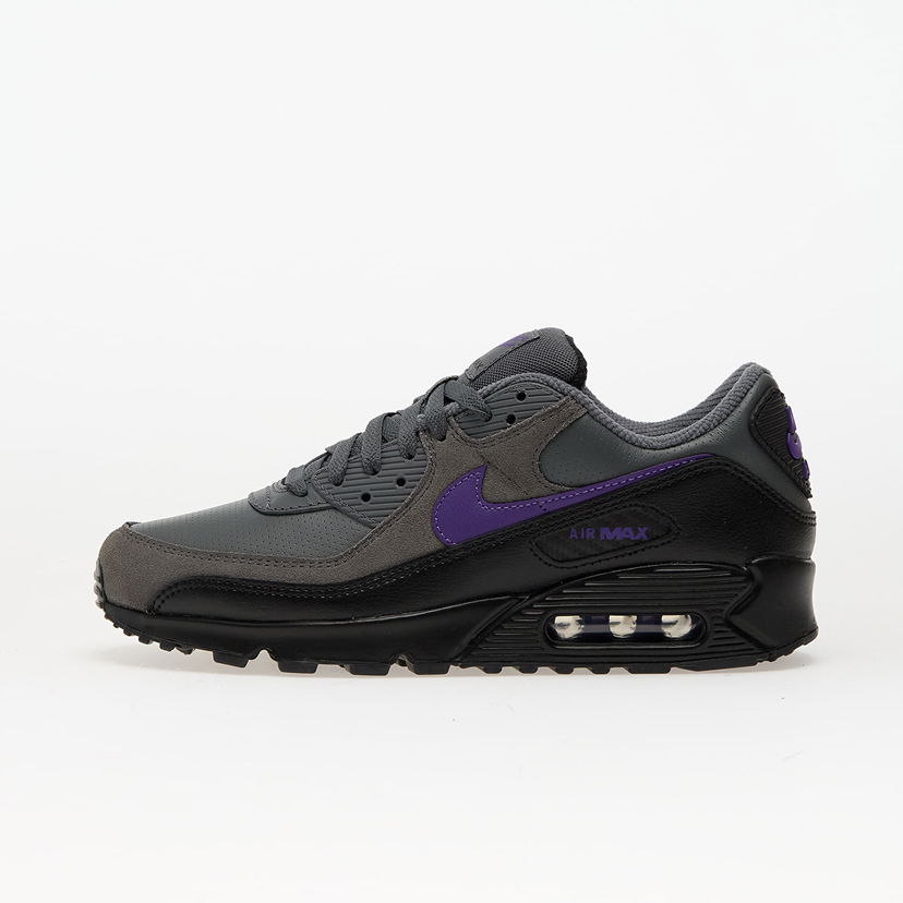 Tenisice i cipele Nike Air Max 90 Ljubičasta | IF0670-004