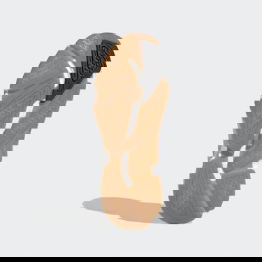 Tenisice i cipele adidas Performance X9000L4 Siva | GY3891, 2