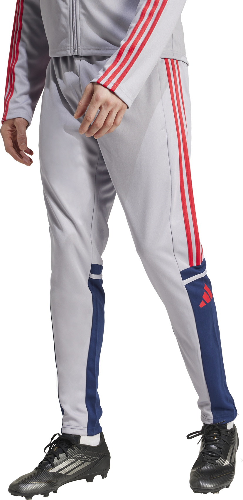 Trenirka adidas Performance SQUADRA 25 Training Pants Siva | jp3372