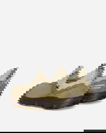 Tenisice i cipele Salomon Pas Normal Studios x RX Snug "Moss Gray" Zelena | L47229200, 4