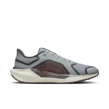 Tenisice i cipele Nike Pegasus 41 GORE-TEX Siva | FQ1356-003, 2