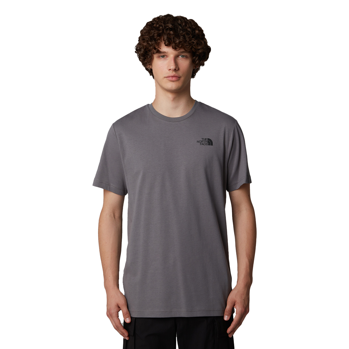 Majica kratkih rukava The North Face Celebration T-Shirt Siva | NF0A87NV0UZ1, 0