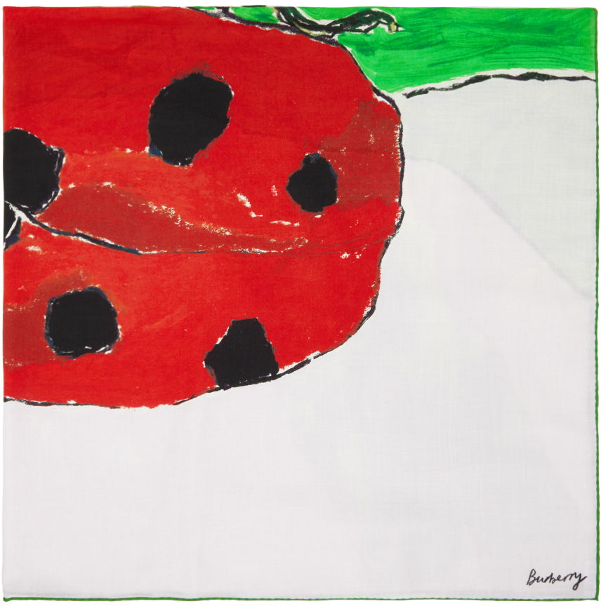 Šal Burberry Ladybird Cashmere Silk Scarf Zelena | 8083722, 0