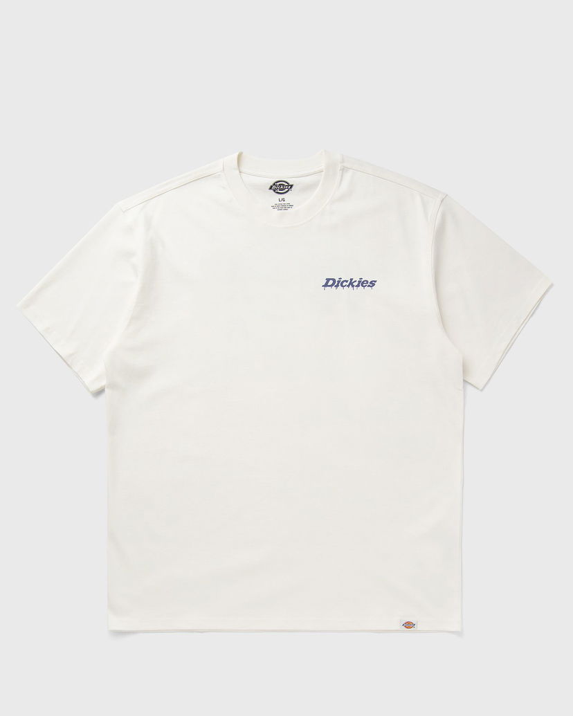 Majica kratkih rukava Dickies Statesville T-Shirt Bijela | DK0A87QPC481