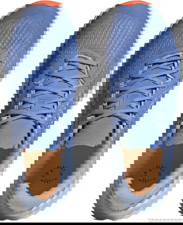 Tenisice i cipele adidas Performance TERREX SOULSTRIDE FLOW Plava | hp5565, 1