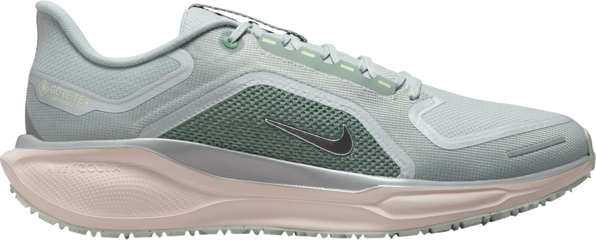 Tenisice i cipele Nike Pegasus 41 GORE-TEX Višebojno | fq1356-007, 0