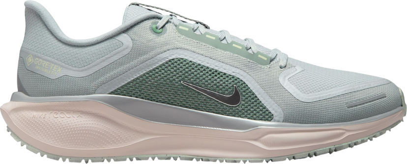 Tenisice i cipele Nike Pegasus 41 GORE-TEX Višebojno | fq1356-007