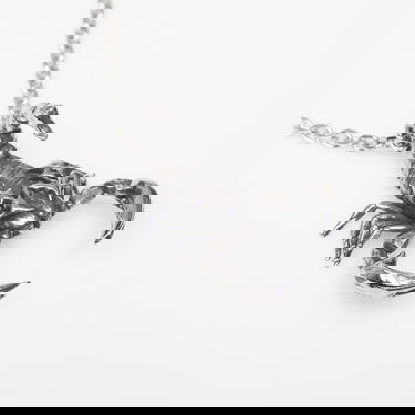 Ogrlica Wasted Paris U Bane Universal Scorpion Necklace Metalik | WP_000314, 1