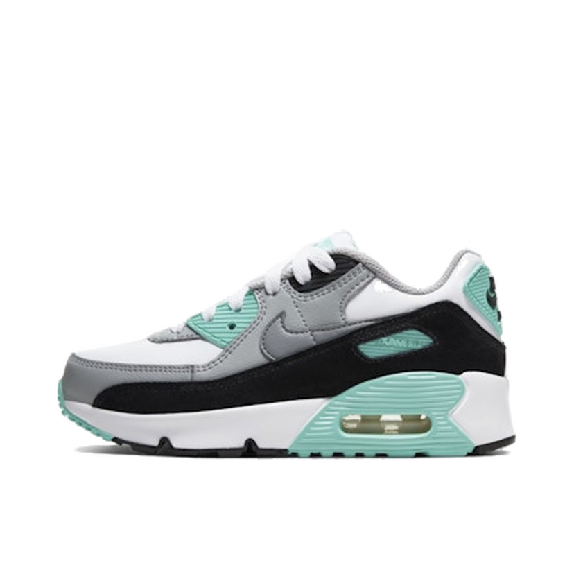 Tenisice i cipele Nike Air Max 90 Tirkiz | CD6867-102