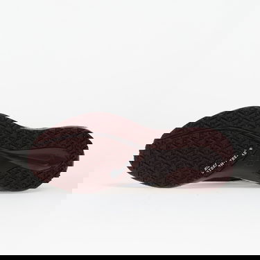 Tenisice i cipele Nike Pegasus 41 Gore-Tex Tamnoplava | FQ1357-401, 1