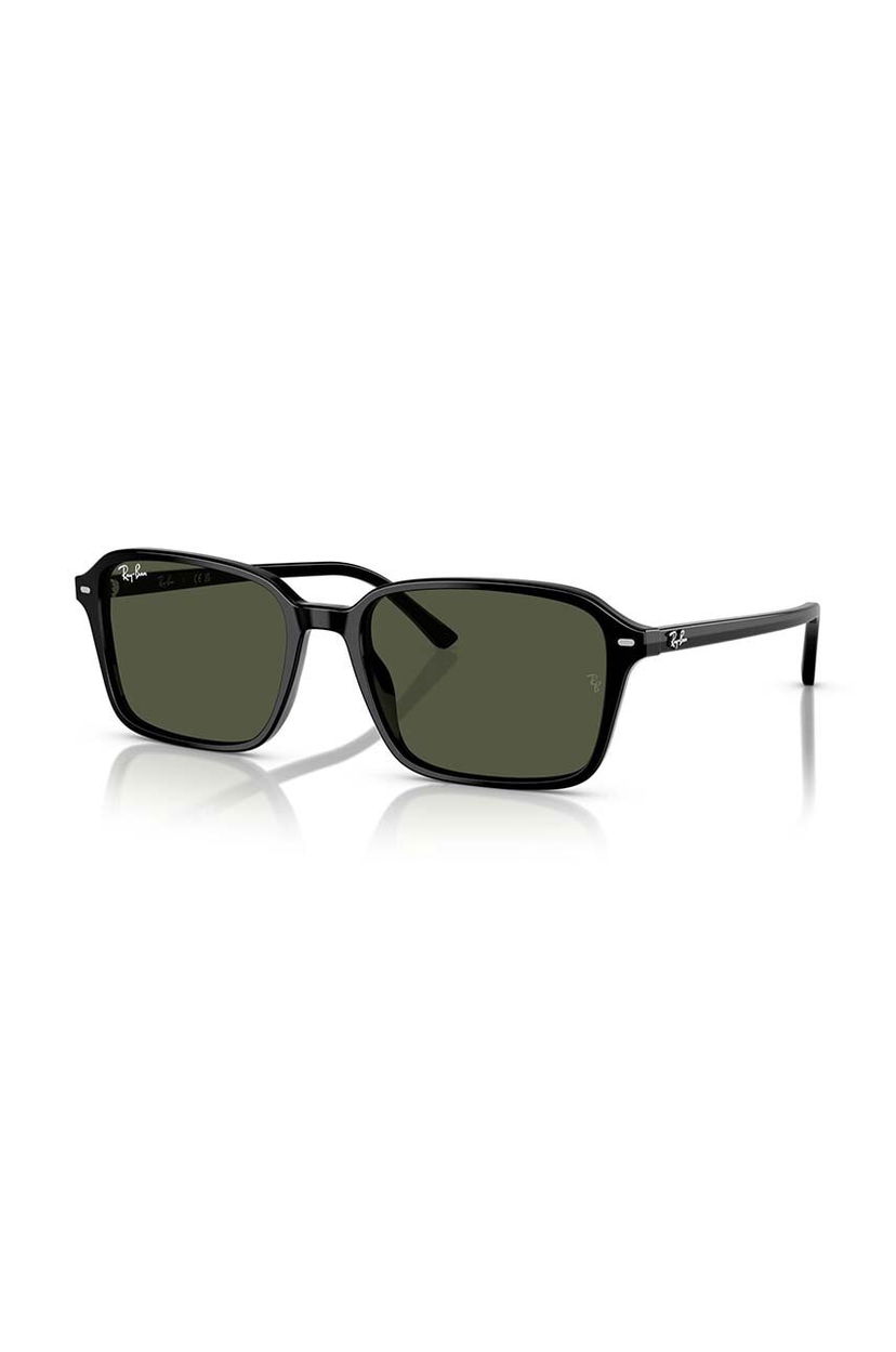 Sunčane naočale Ray-Ban Ray-Ban 0RB2231 Sunglasses Crna | 0RB2231.901/31