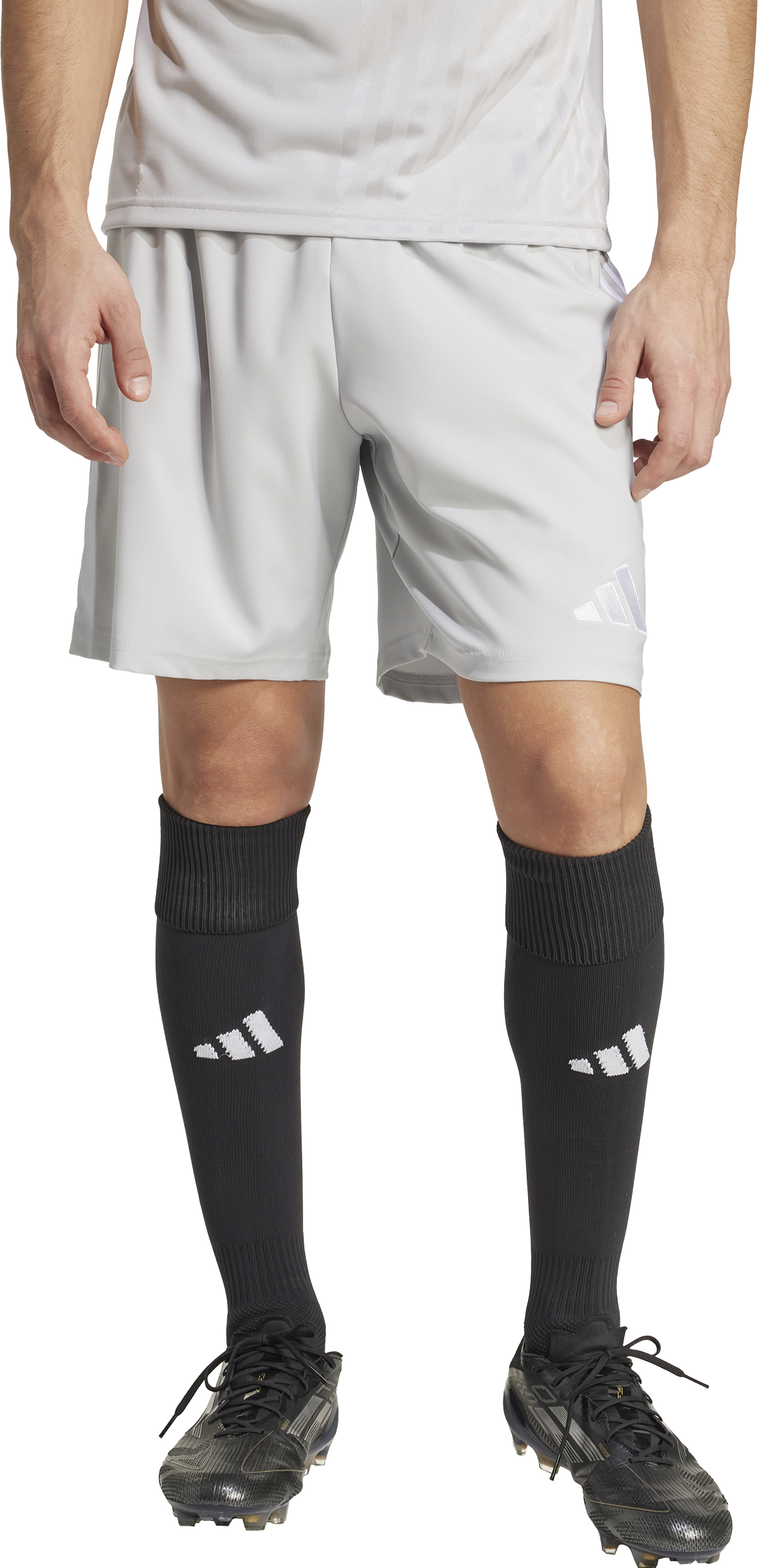 Kratke hlače adidas Originals Tastigio 25 Training Shorts Siva | jn7160, 1