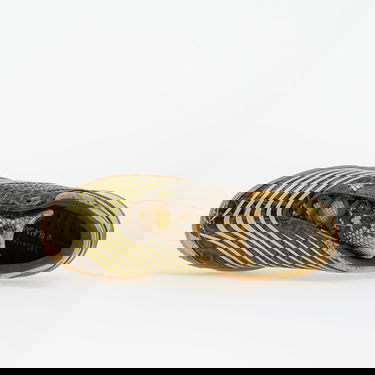 Tenisice i cipele adidas Performance Slam Jam x F50 Sala "Croc Gum" Zelena | JR2201, 3