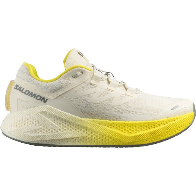 Tenisice i cipele Salomon Aero Glide 3 Višebojno | L47975900