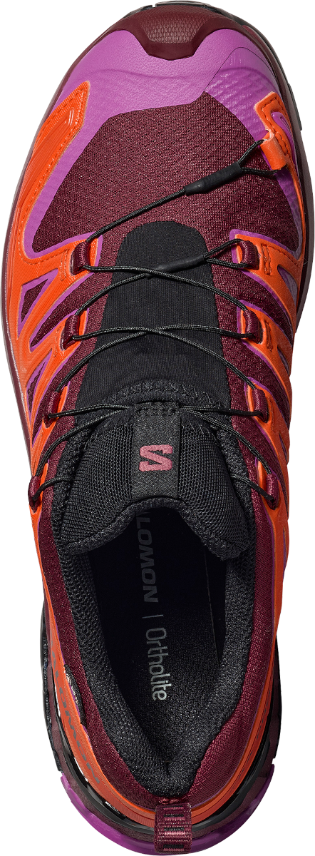Tenisice i cipele Salomon Salomon XA PRO 3D V9 GTX Ljubičasta | l47961900, 1