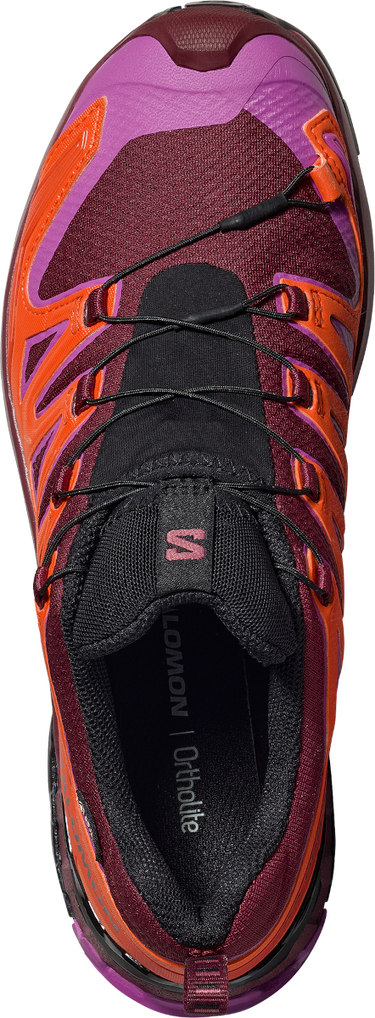 Tenisice i cipele Salomon Salomon XA PRO 3D V9 GTX Ljubičasta | l47961900, 1