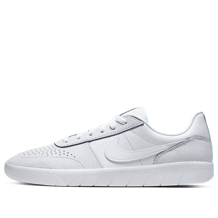 Tenisice i cipele Nike SB SB Team Classic Premium Bijela | AR0767-100