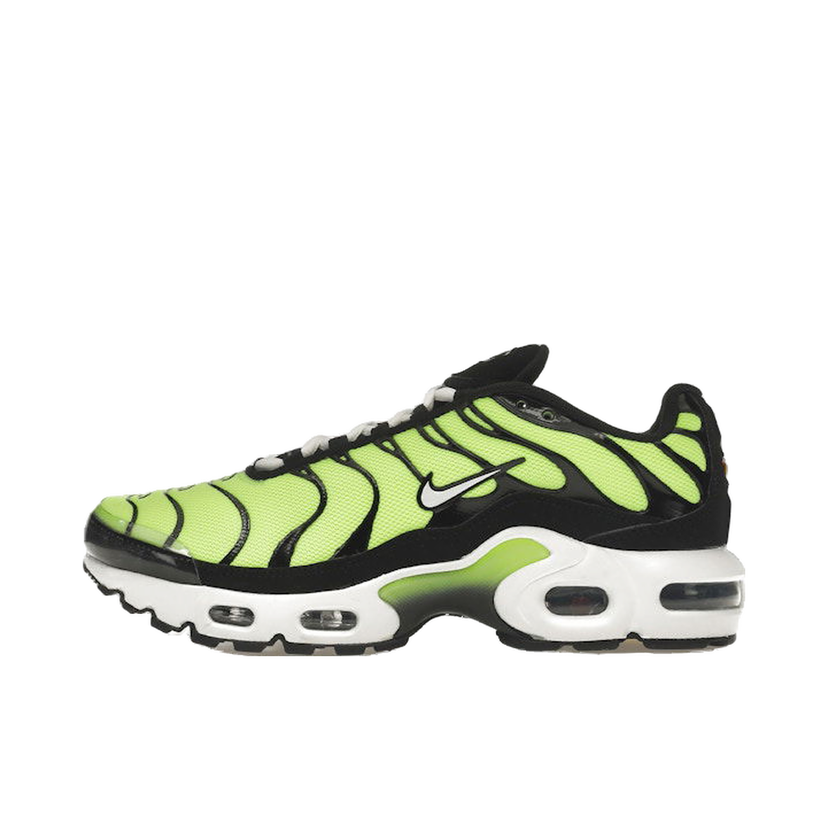 Tenisice i cipele Nike Air Max Plus Zelena | CD0609-301