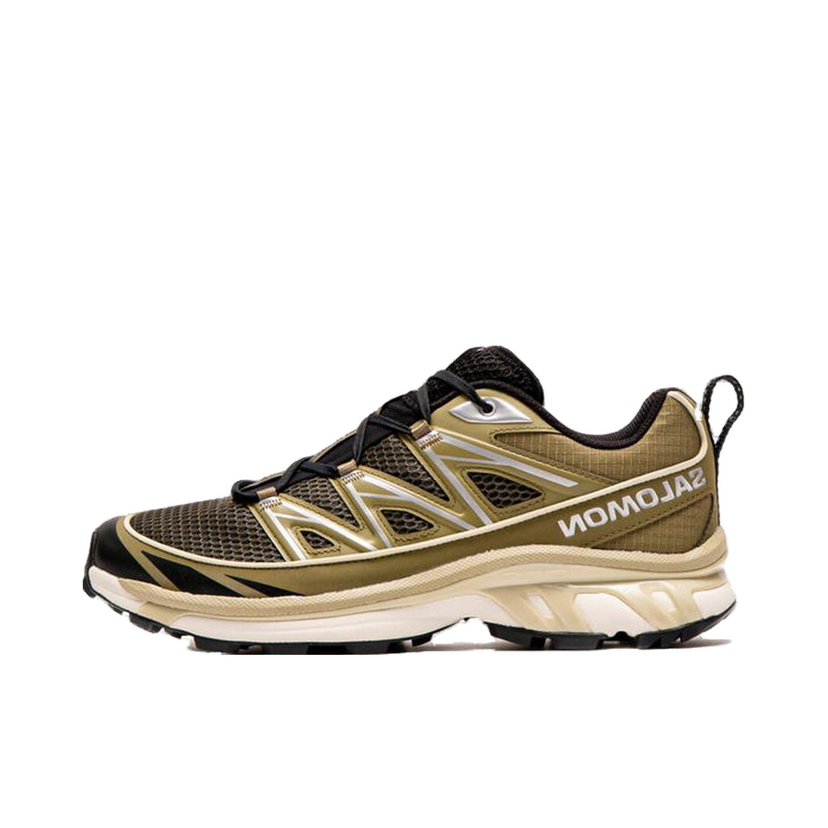 Tenisice i cipele Salomon XT-6 Expanse Seasonal Zelena | L47748600