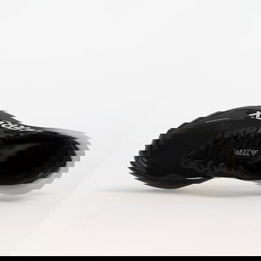 Tenisice i cipele adidas Performance Terrex Agravic 3 W Crna | IE0813, 2