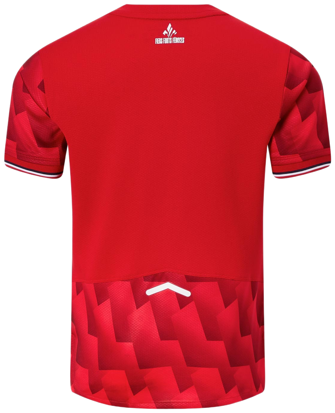 Dres New Balance LOSC Lille Home Jersey 2025/26 Kids Crvena | jt230454-hme, 1