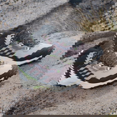 Tenisice i cipele adidas Performance adidas TERREX Boty Terrex AX4 Mid GORE-TEX Hiking Crna | IE2577, 5