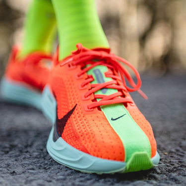 Tenisice i cipele Nike Pegasus Plus Crvena | fq7262-600, 7