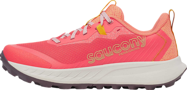 Tenisice i cipele Saucony Peregrine 15 Ružičasta | s10990-245, 1