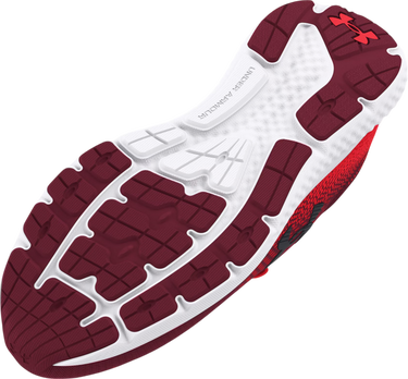 Tenisice i cipele Under Armour UA Charged Rogue 4 Crvena | 3026998-600, 2