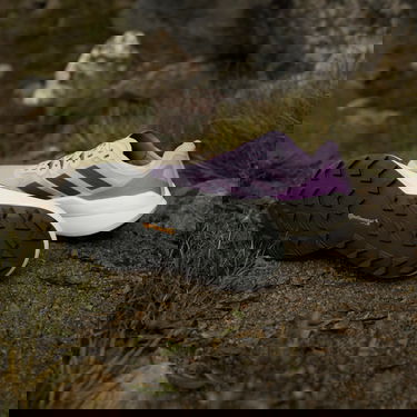 Tenisice i cipele adidas Performance Terrex Agravic Speed Ljubičasta | jq1617, 6