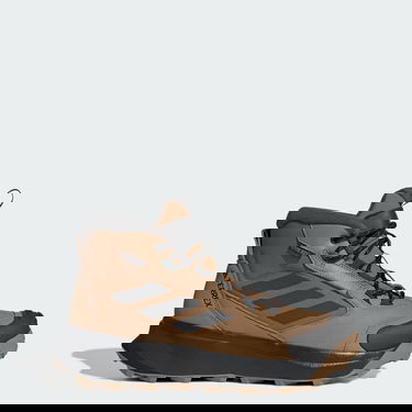 Tenisice i cipele adidas Performance Terrex Winter Leather Mid Cut Hiking Boots Smeđa | JR5297, 0