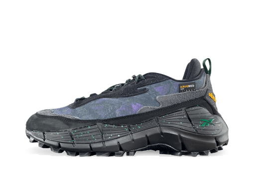 Trčanje Reebok SOUTH2 WEST8 x Zig Kinetica 2.5 Edge Siva | HP2991