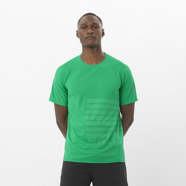 Majica kratkih rukava Salomon Aero Graphic T-Shirt Zelena | LC2694700