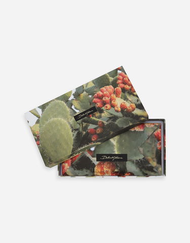 Novčanik Dolce & Gabbana Cactus Print Greeting Cards Set With Envelopes Zelena | TCCS06TCAG1U0008, 1