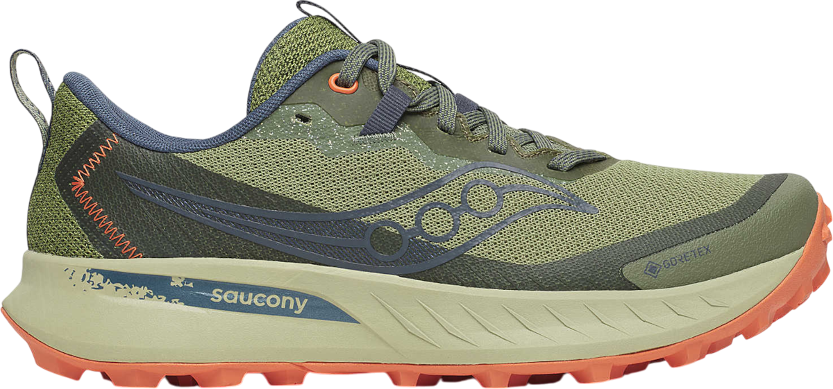 Tenisice i cipele Saucony Peregrine 15 GTX Zelena | s10992-162, 0