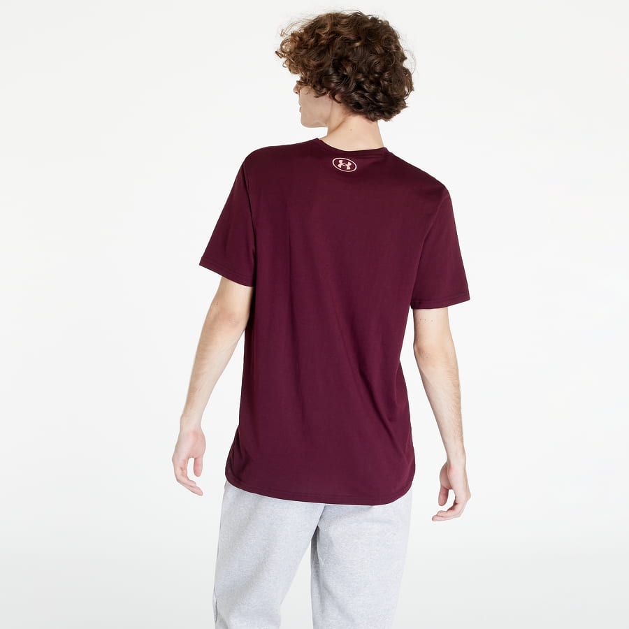 Majica kratkih rukava Under Armour Project Rock Globe Tee Tamnocrvena | 1373746-600, 1