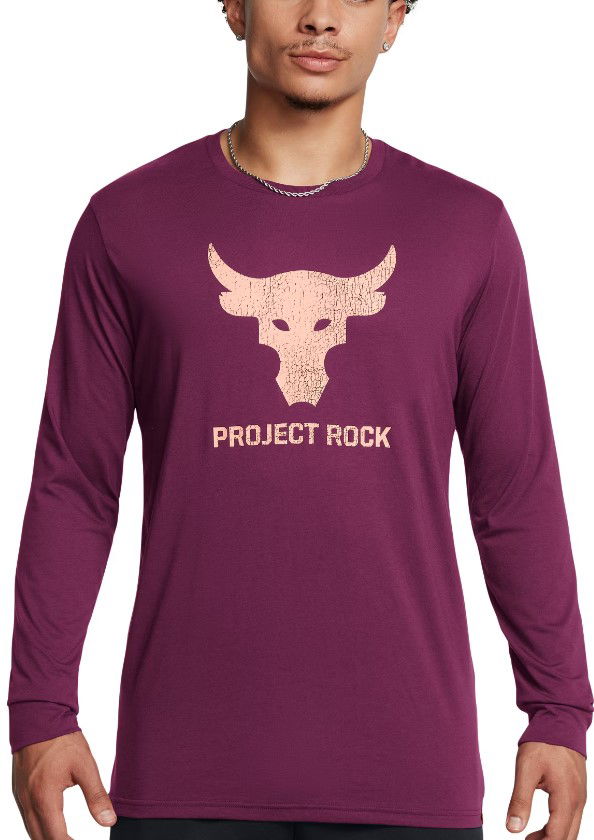 Majica kratkih rukava Under Armour Long Sleeve T-Shirt Bull Ljubičasta | 1374847-505