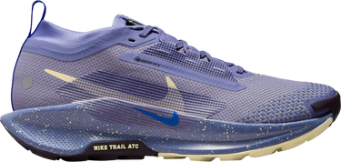 Tenisice i cipele Nike Pegasus Trail 5 GORE-TEX Ljubičasta | fq0912-402, 0