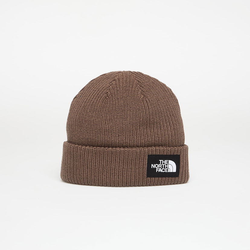 Kapica The North Face The North Face Salty Lined Beanie Smeđa | NF0A8CGZ1OI1