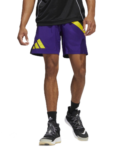 Kratke hlače adidas Originals Galaxy Basketball Ljubičasta | HK9465