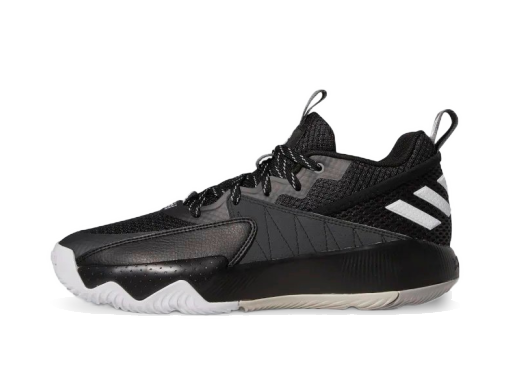 Košarka adidas Performance Dame Extply Crna | GY2439